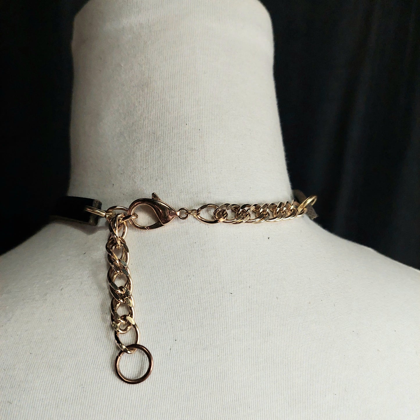 Rusty Bites, Tooth & Antique Oring Collar and Chic Black Leather Choker.