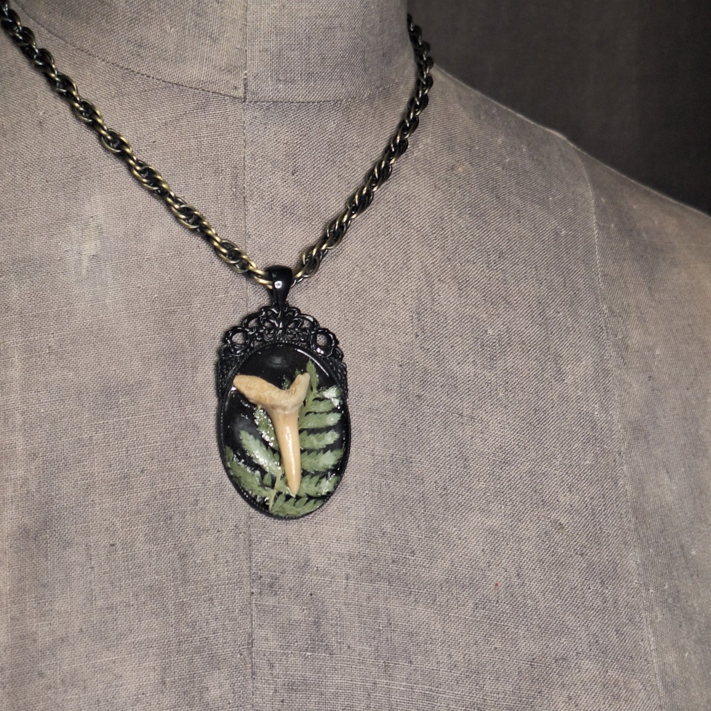 Victorian Shark. A shark tooth with garden flare..