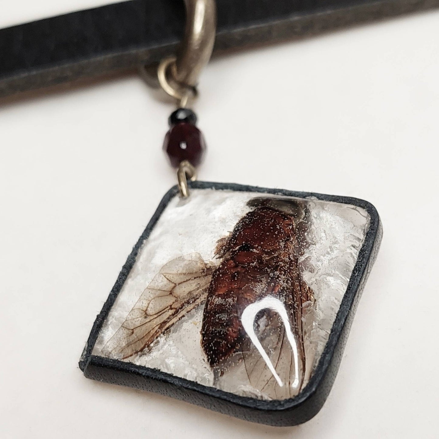 Lace backed insect adornment.