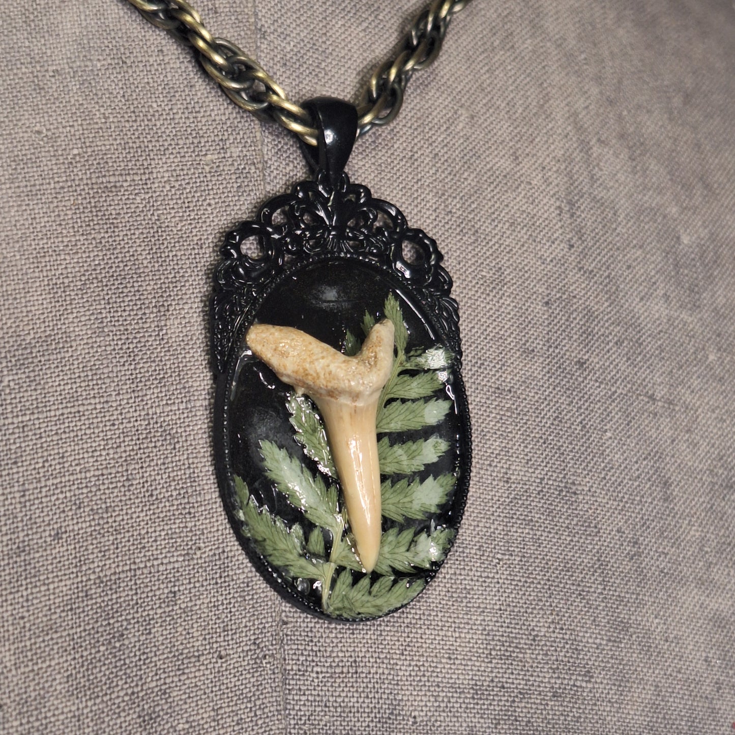 Victorian Shark. A shark tooth with garden flare..