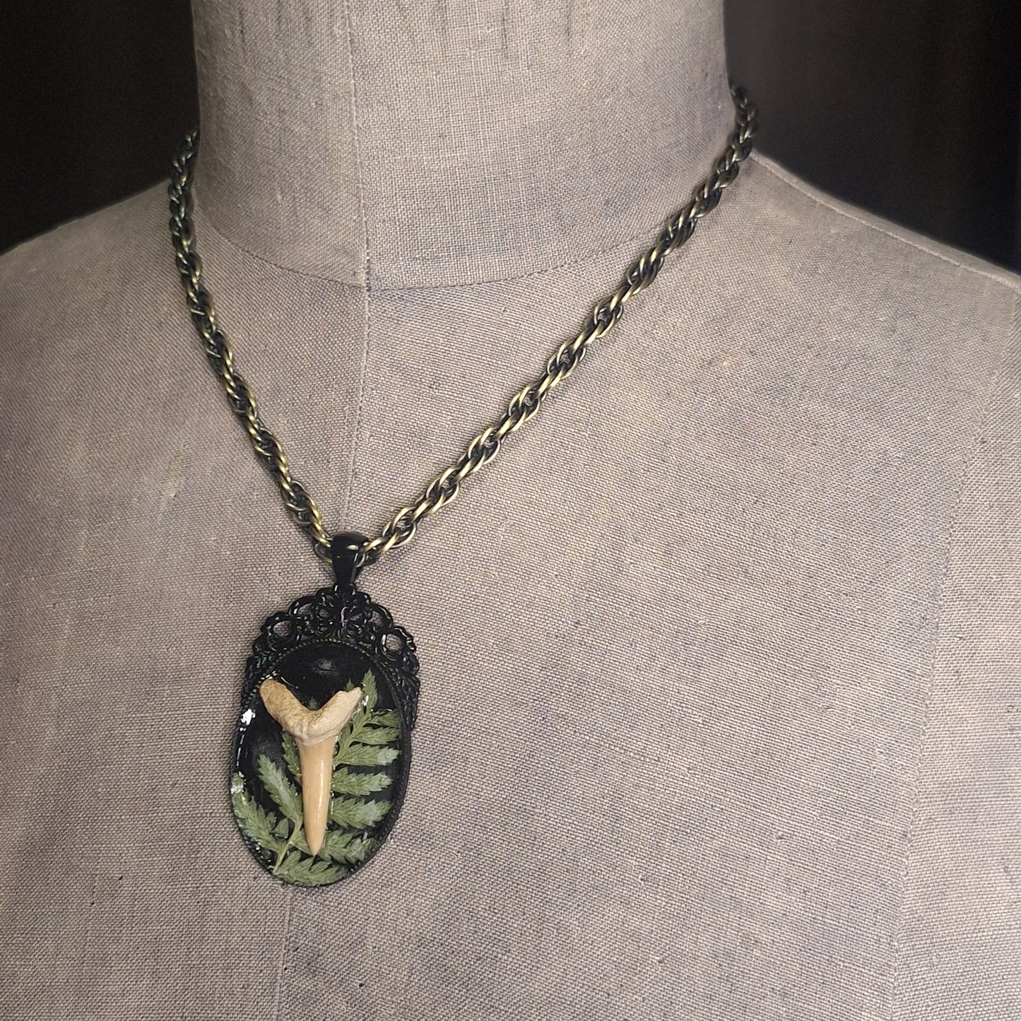 Victorian Shark. A shark tooth with garden flare..