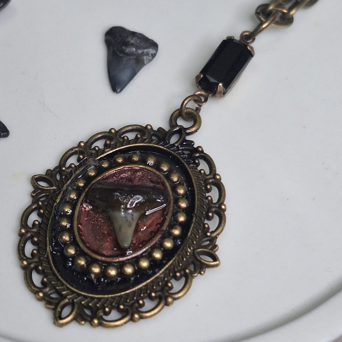 Baby Teeth. Shark Tooth Cameo Necklace.