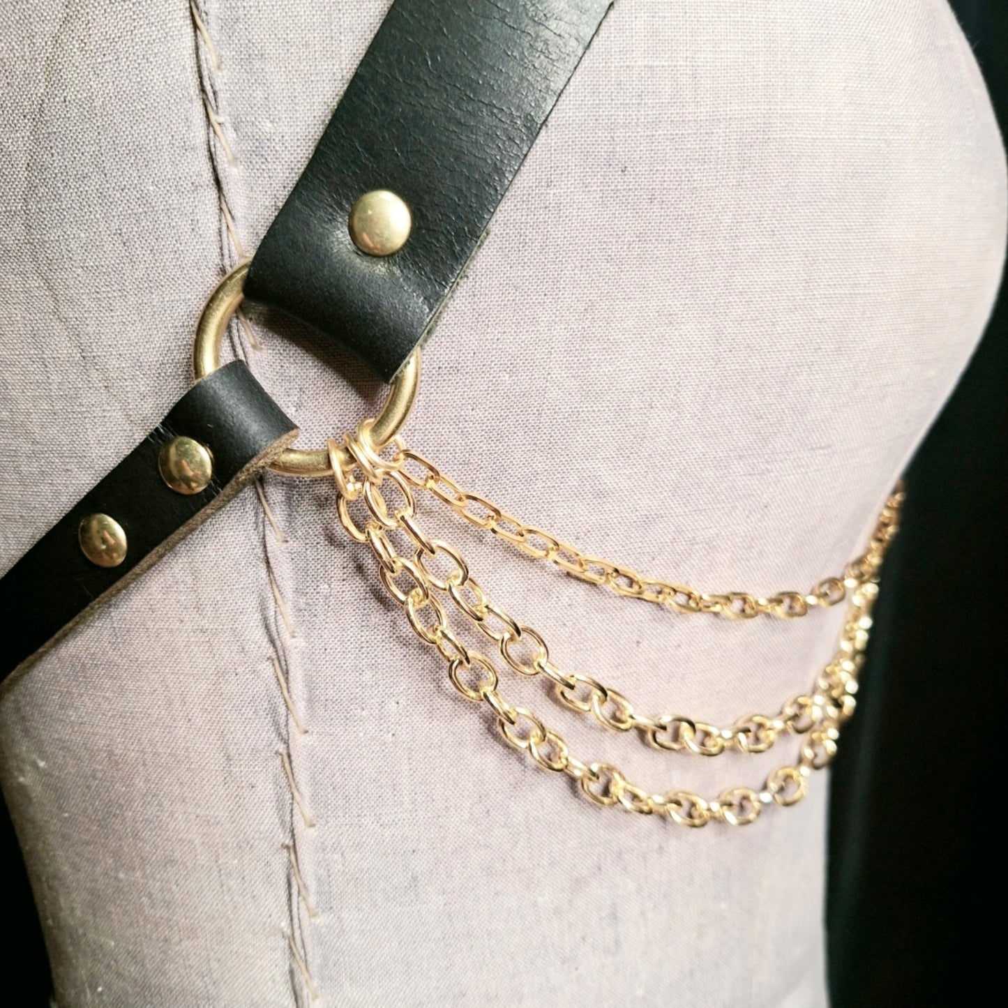 Black & Gold Bodice Harness