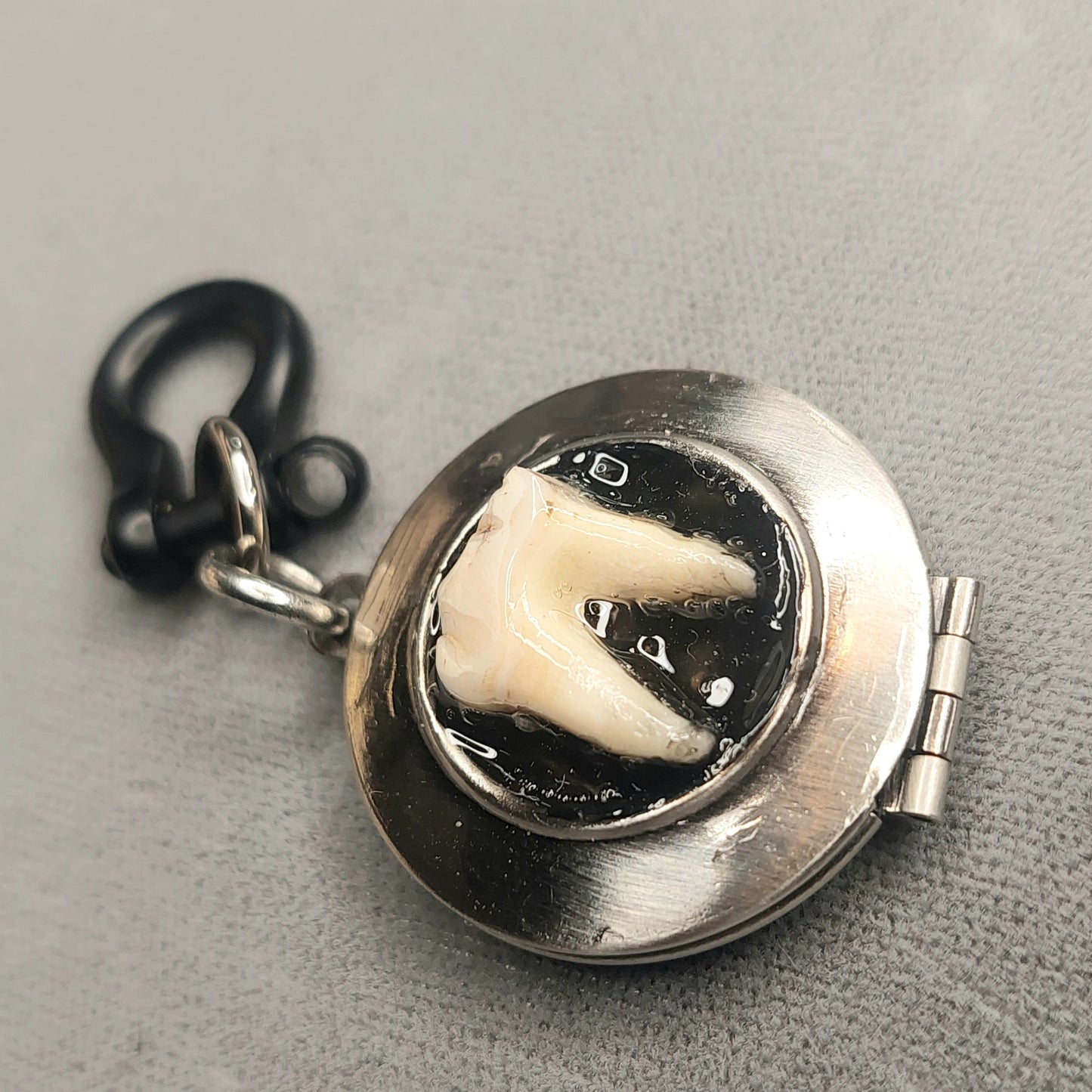 Silver locket tooth pendant with black steel shackle pin.