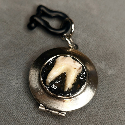 Silver locket tooth pendant with black steel shackle pin.